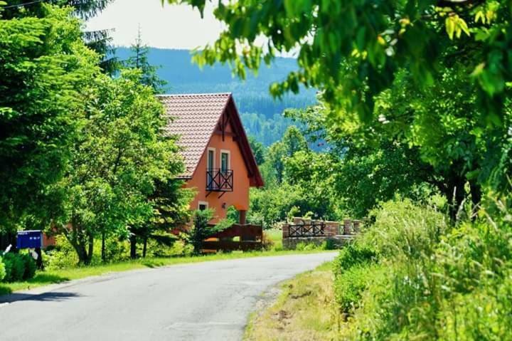 Wydrza-Przystan Villa Mirsk Buitenkant foto